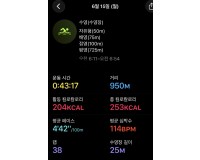IMG_3173.jpeg